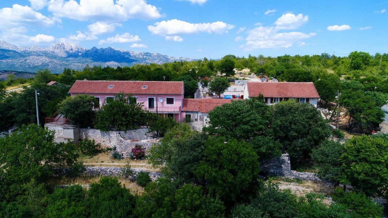 Villa Marina Krusevo-Zadar المظهر الخارجي الصورة
